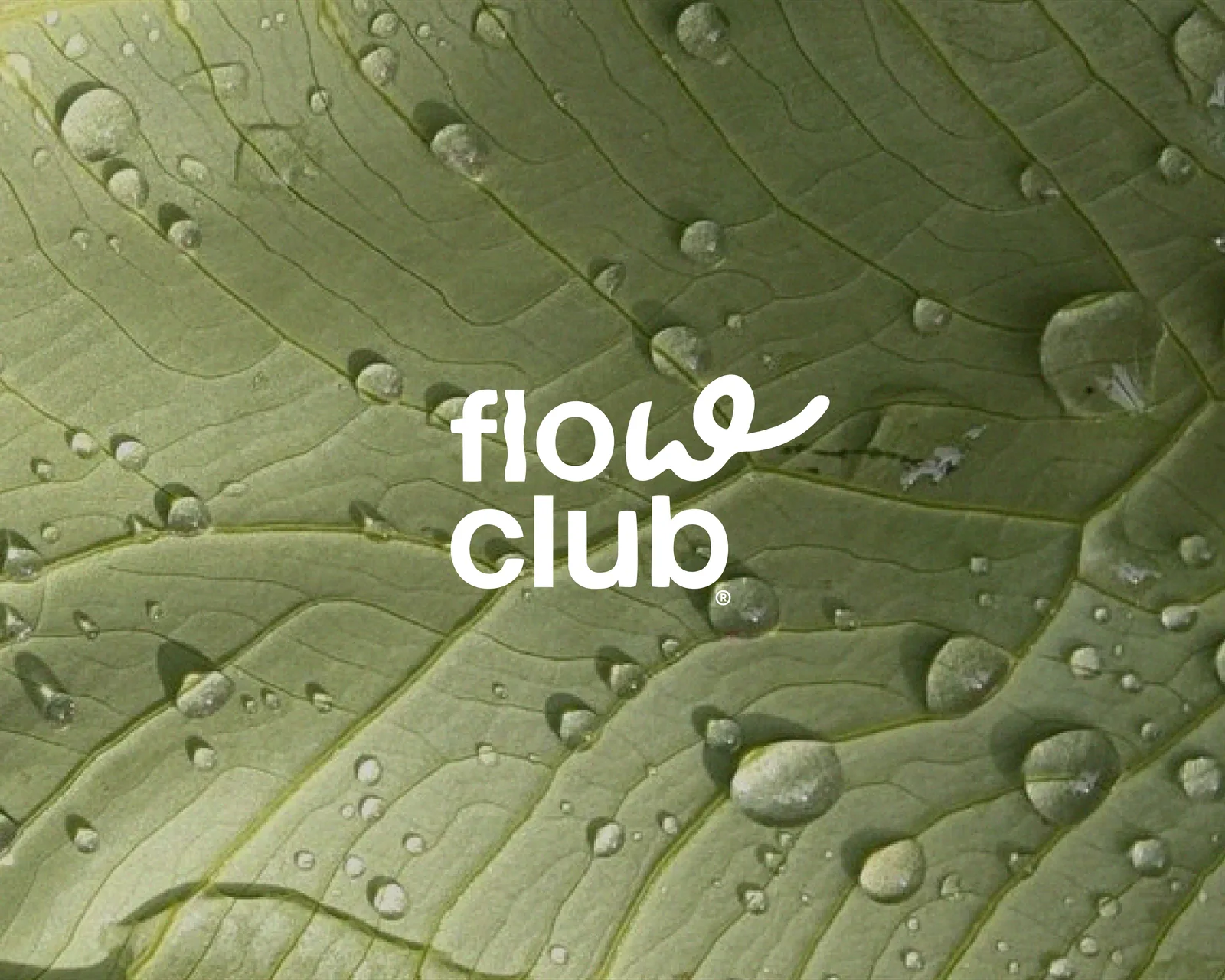 Flow Club
